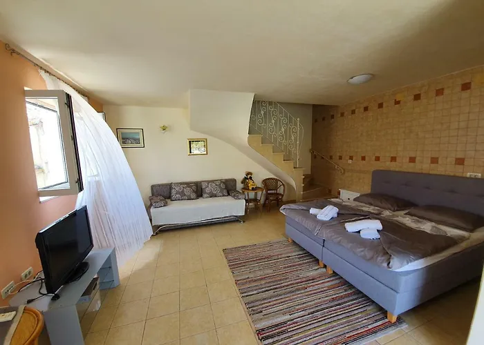 House Bridge * Тисно