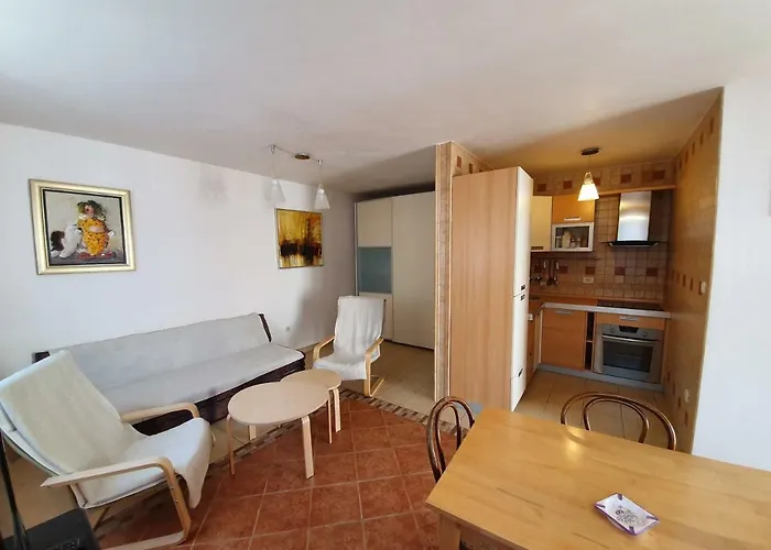 House Bridge * Тисно